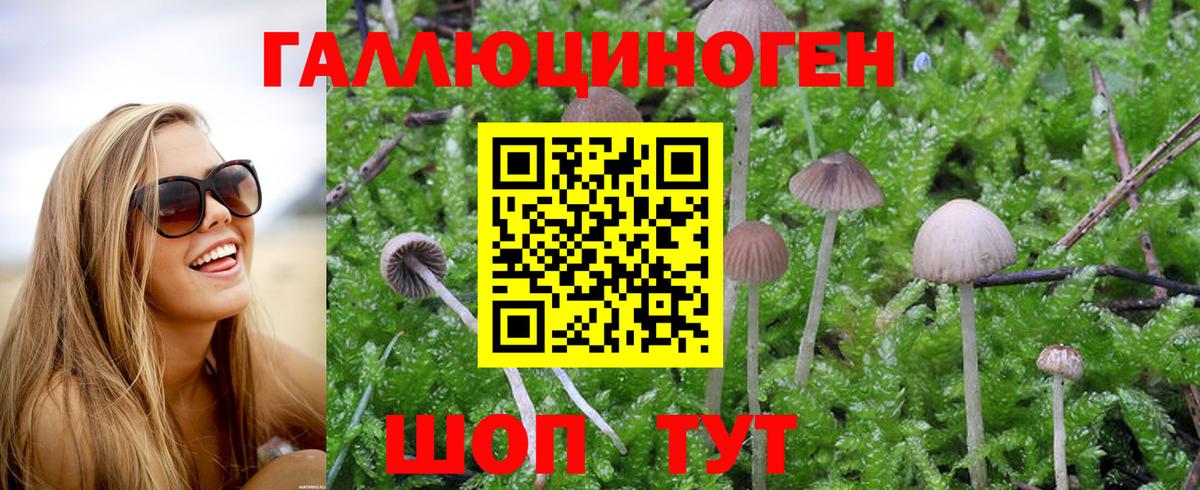 Галлюциногенные грибы Magic Shrooms Волжск
