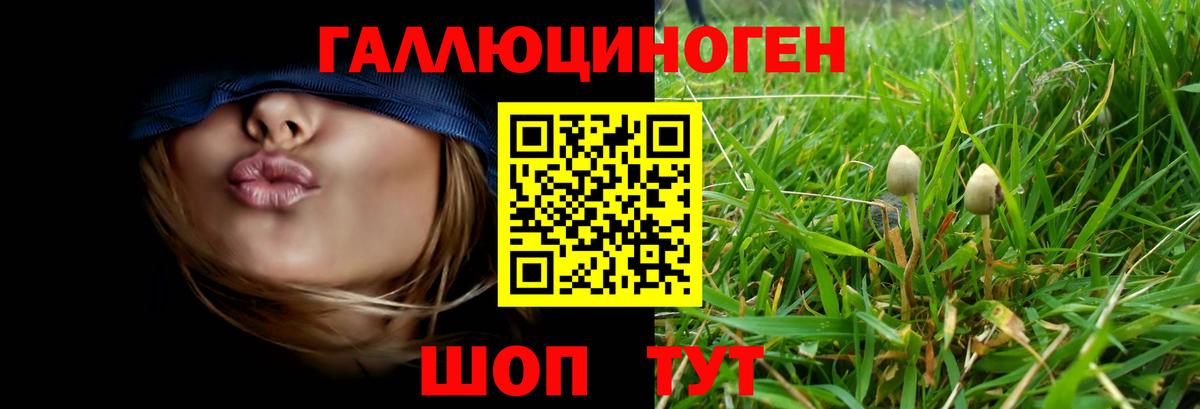купить наркоту  Вход с VPN  Волжск  Псилоцибиновые грибы прущие грибы  Галлюциногенные грибы прущие грибы 